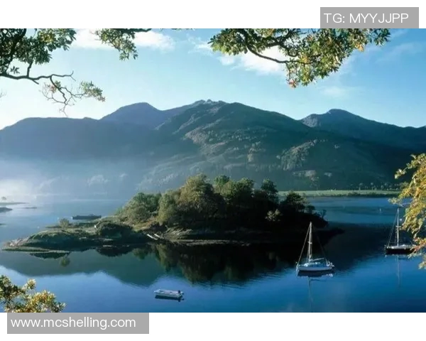 仙台七夕的绚丽与喜悦交织成梦幻节日的美好瞬间